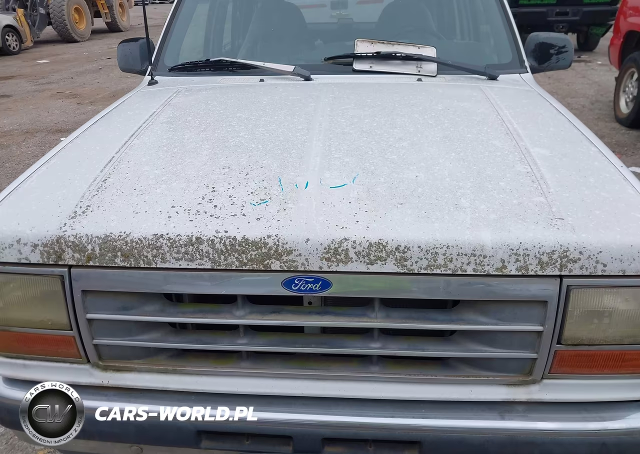 1992 Ford Explorer VIN:1FMDU34X2NUC70261 - 10