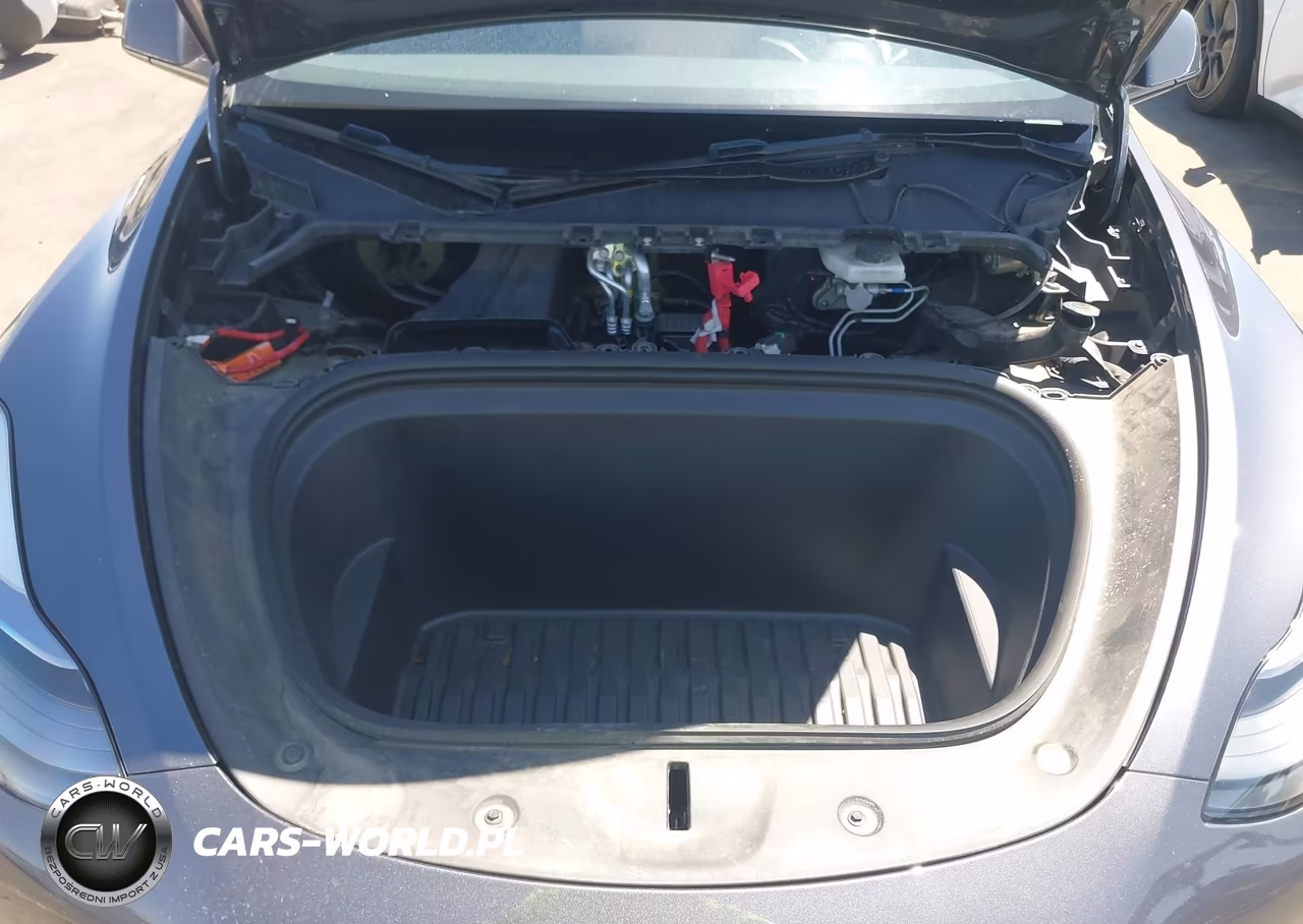 2023 Tesla Model Y Awd-Long Range Dual Motor All-Wheel Drive VIN:7SAYGDEE6PA210950 - 10