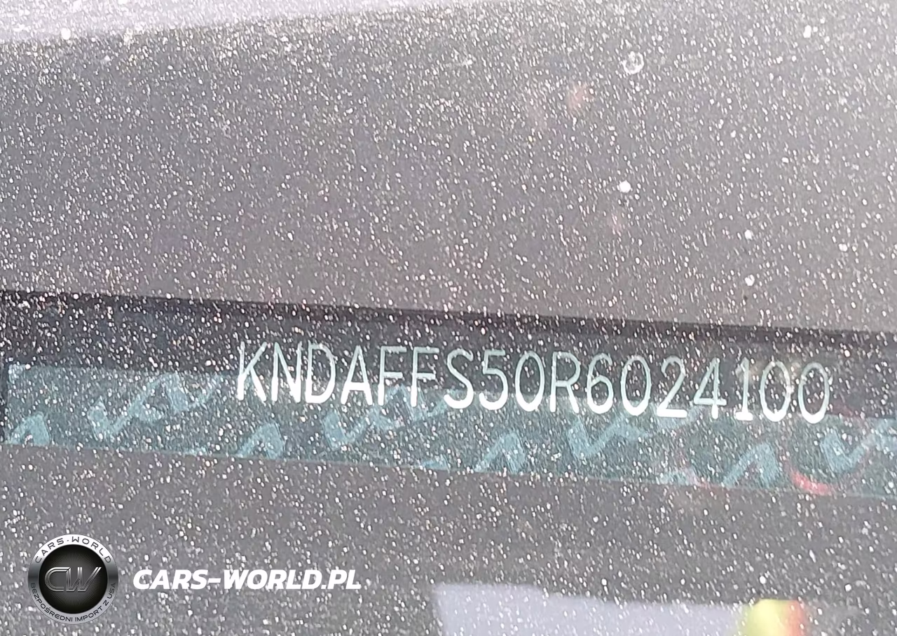 2024 Kia Ev9 Wind VIN:KNDAFFS50R6024100 - 9