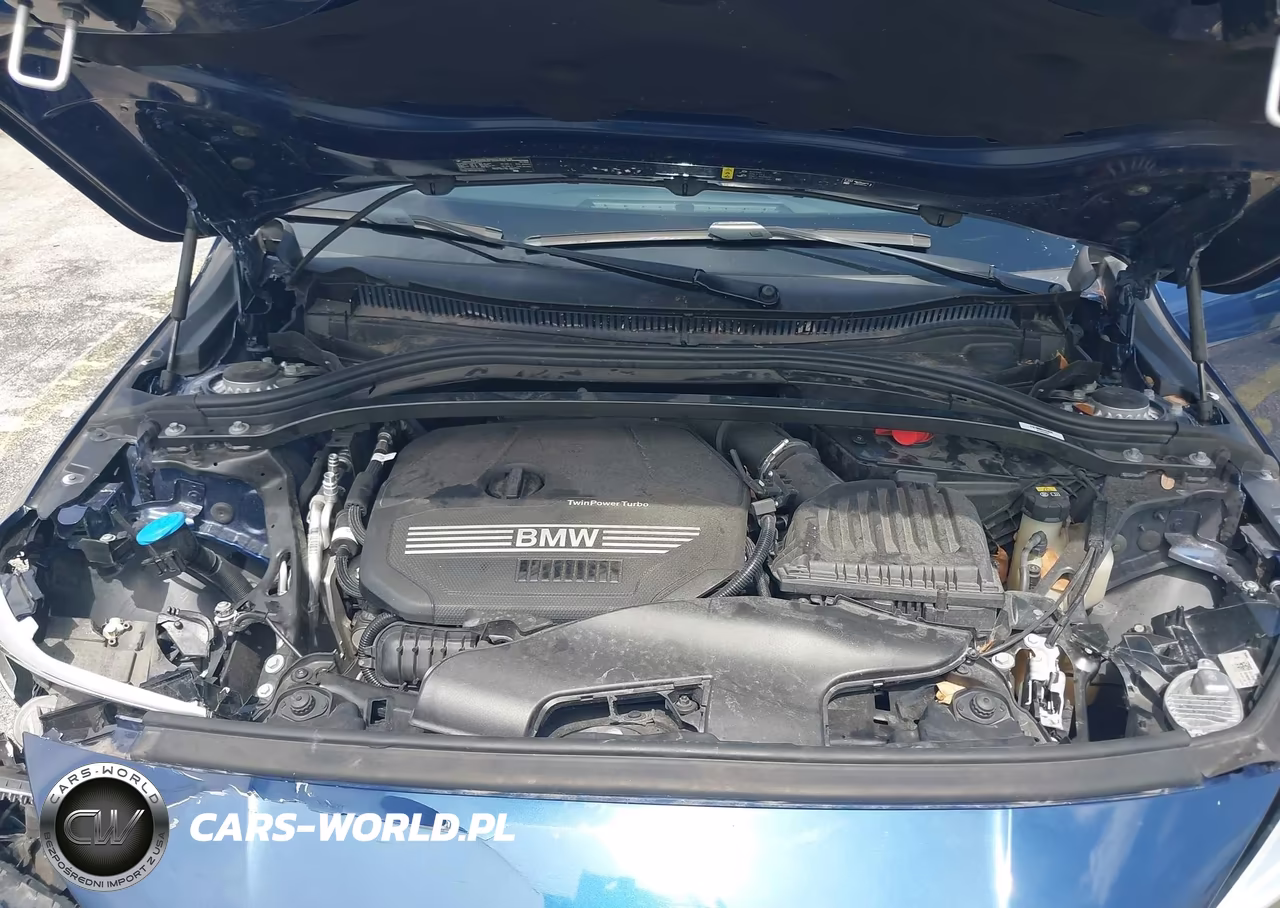 2022 BMW 228 Gran Coupe I Sdrive VIN:WBA53AK09N7K53684 - 10
