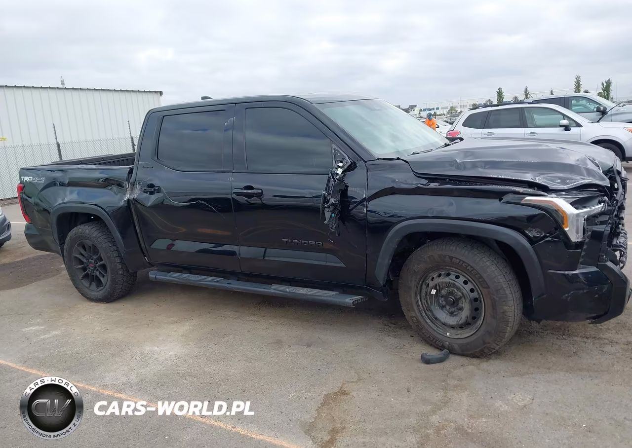 2024 Toyota Tundra Limited VIN:5TFWA5DB3RX187545 - 19