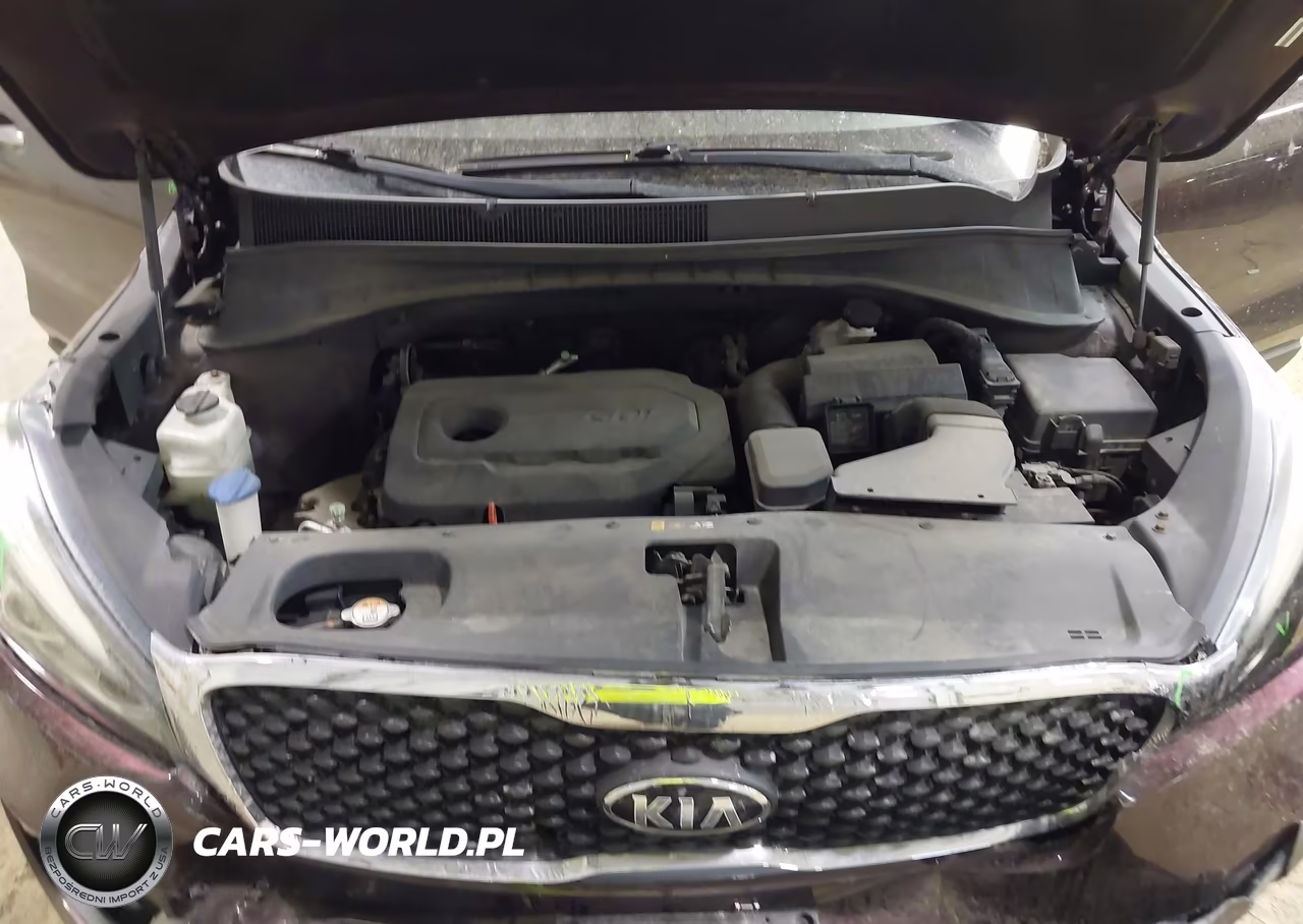 2016 Kia Sorento 2.4L Lx VIN:5XYPGDA37GG025055 - 10