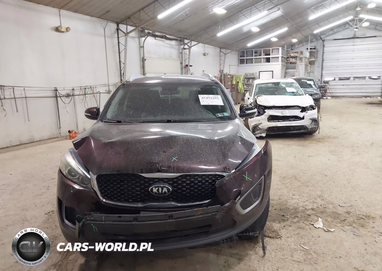 2016 Kia Sorento 2.4L Lx VIN:5XYPGDA37GG025055 - 12