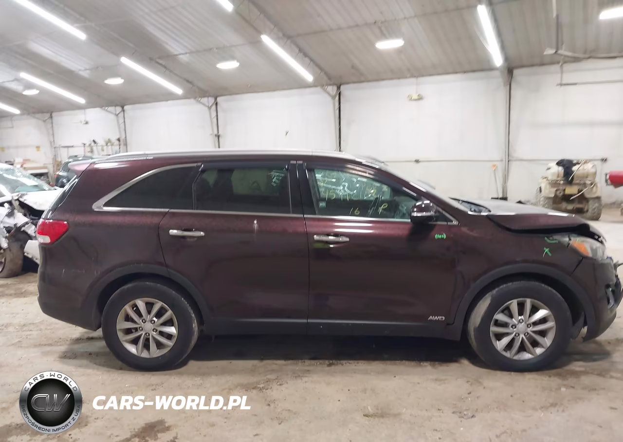 2016 Kia Sorento 2.4L Lx VIN:5XYPGDA37GG025055 - 13