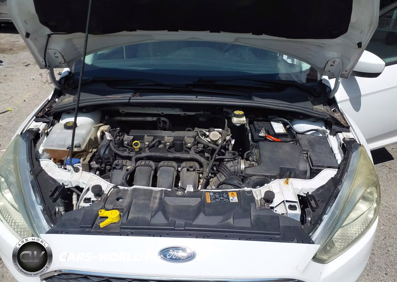 2018 Ford Focus Se VIN:1FADP3K29JL231949 - 10