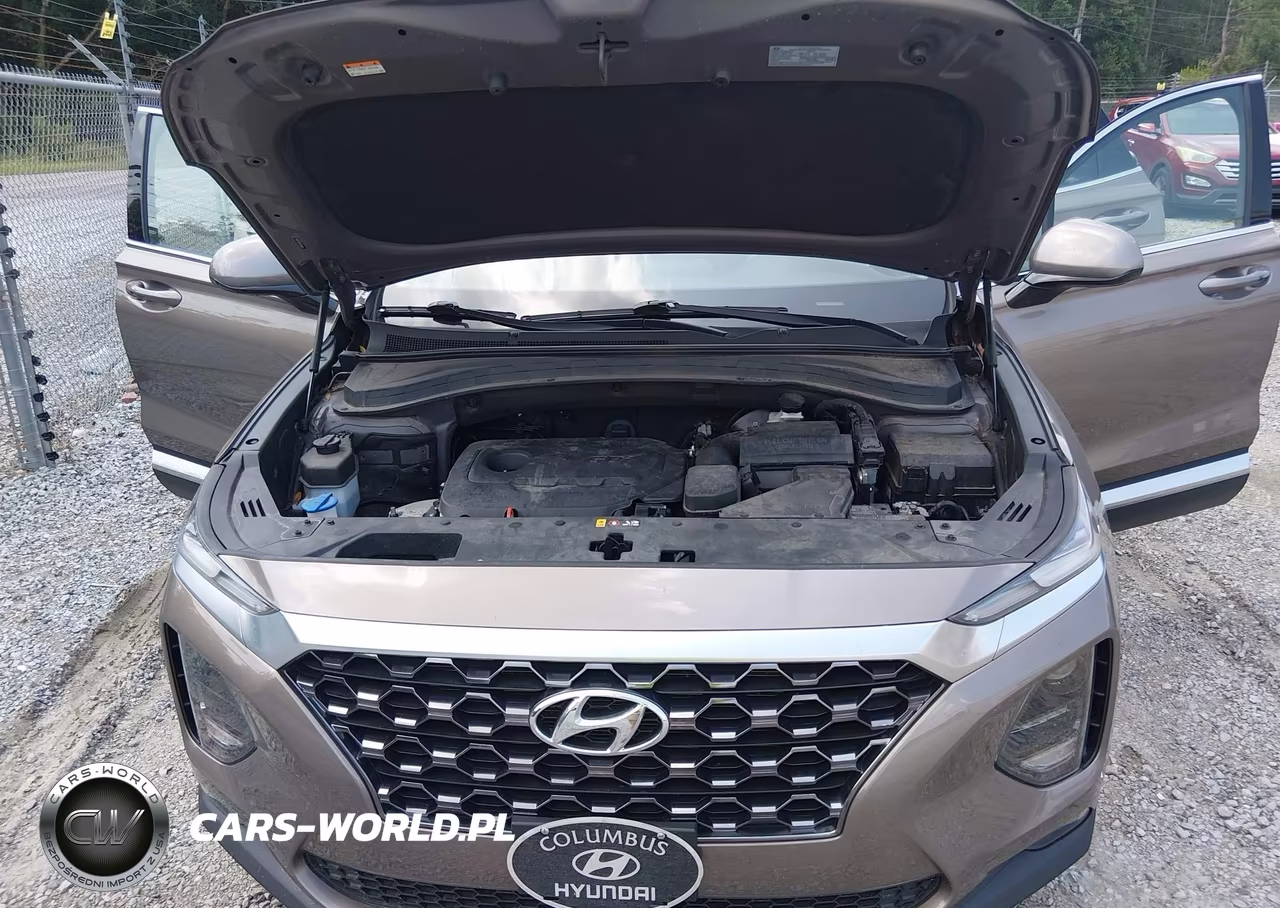 2020 Hyundai Santa Fe Sel VIN:5NMS3CAD5LH244959 - 10
