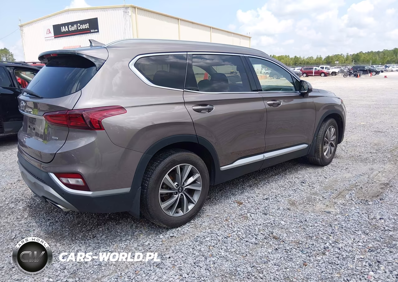 2020 Hyundai Santa Fe Sel VIN:5NMS3CAD5LH244959 - 4