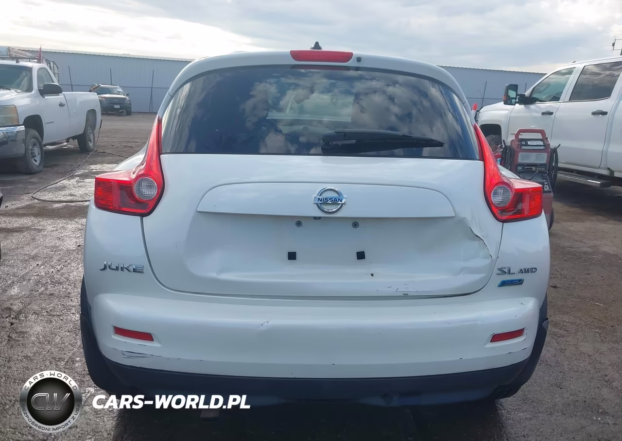 2013 Nissan Juke Sl VIN:JN8AF5MV2DT213613 - 17