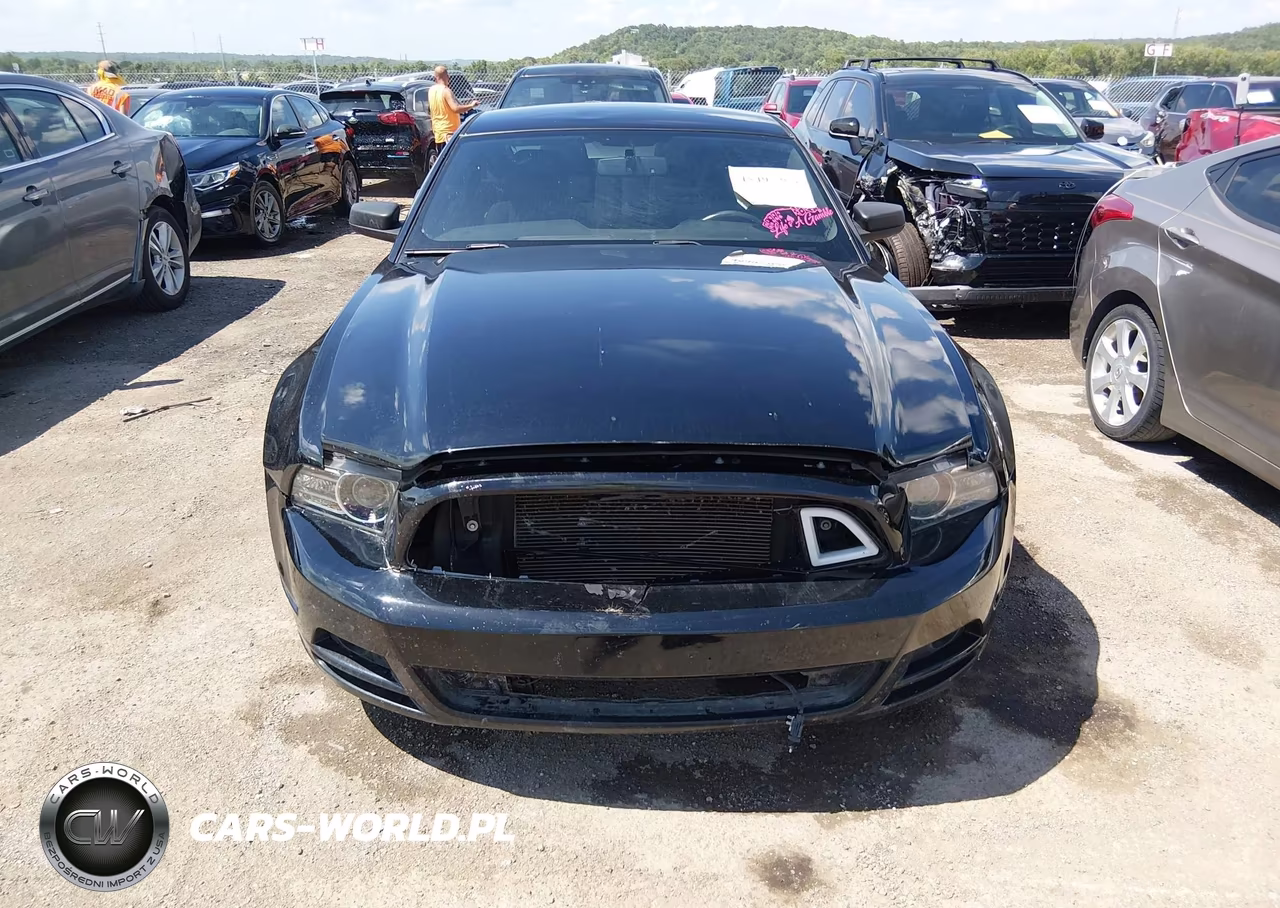 2014 Ford Mustang V6 VIN:1ZVBP8AM1E5321721 - 13