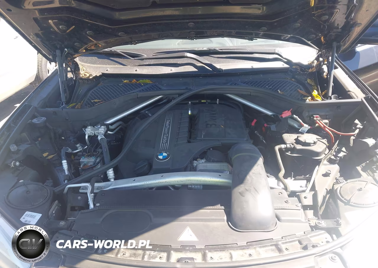 2016 BMW X6 xDrive35I VIN:5UXKU2C59G0N78364 - 10