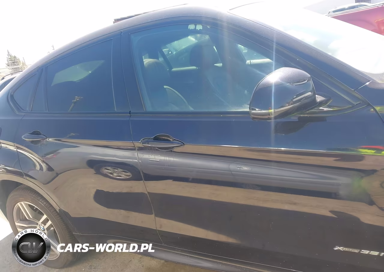 2016 BMW X6 xDrive35I VIN:5UXKU2C59G0N78364 - 13