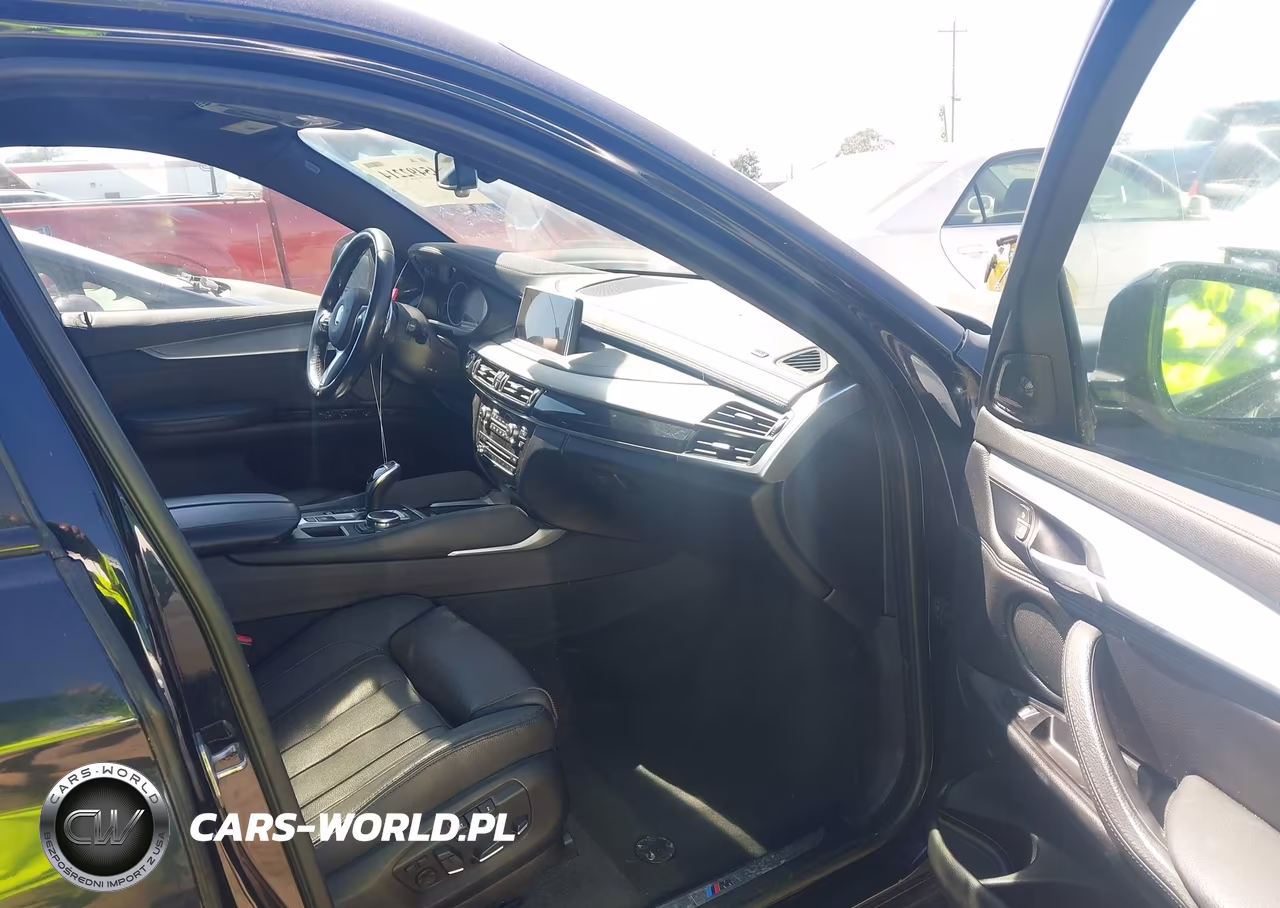 2016 BMW X6 xDrive35I VIN:5UXKU2C59G0N78364 - 5