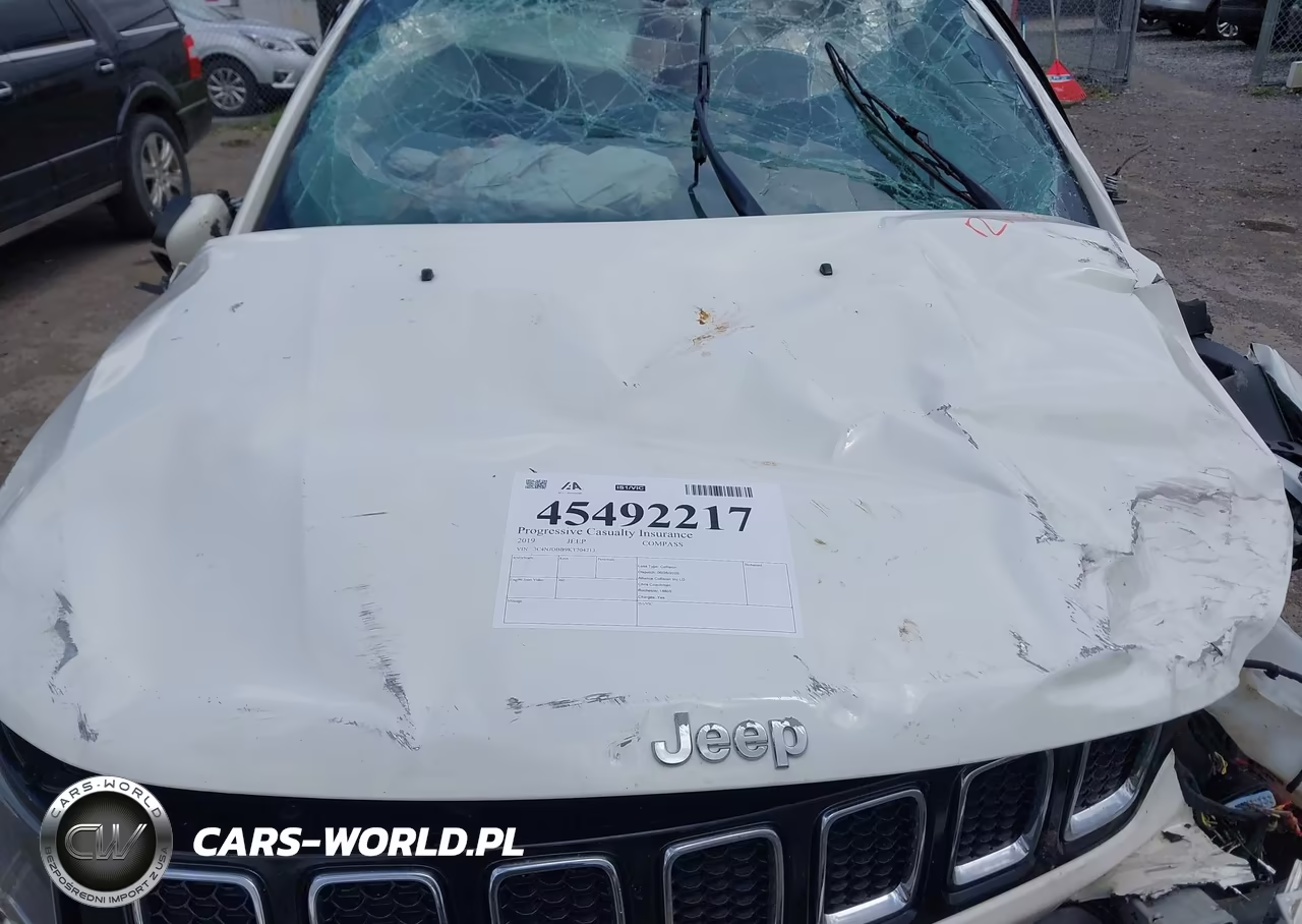 2019 Jeep Compass Latitude 4X4 VIN:3C4NJDBB9KT704213 - 10