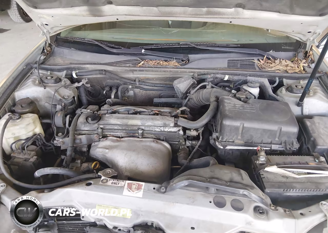 2004 Toyota Camry Xle VIN:4T1BE32K34U788969 - 10
