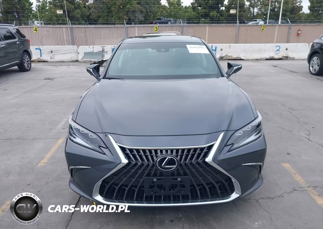 2025 Lexus Es 300H Luxury VIN:58AEA1C15SU069022 - 13