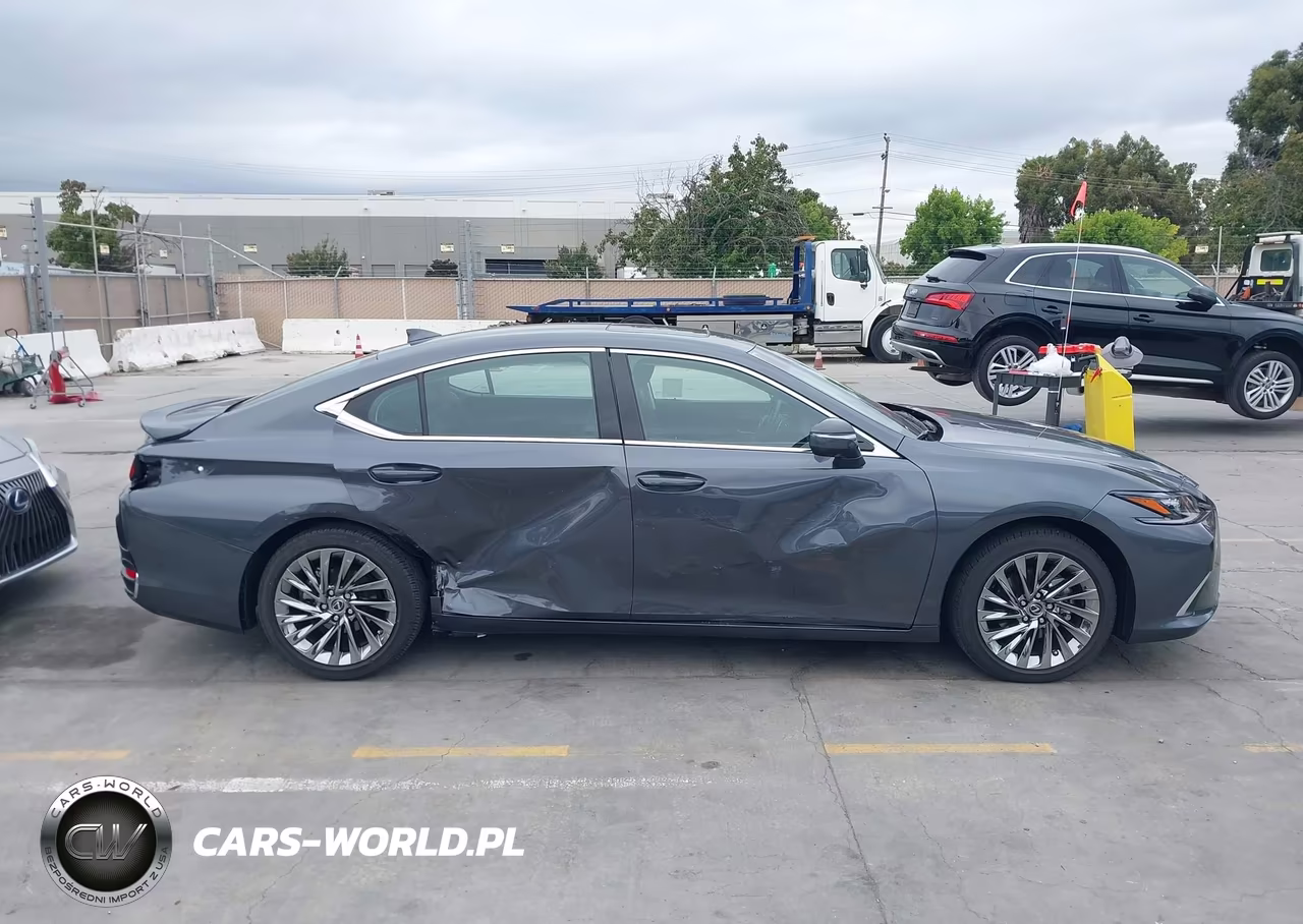 2025 Lexus Es 300H Luxury VIN:58AEA1C15SU069022 - 14