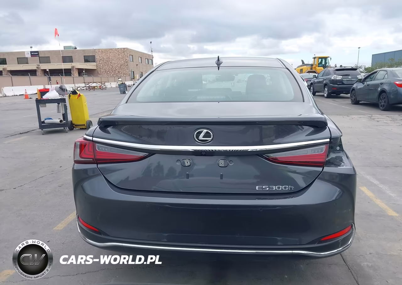 2025 Lexus Es 300H Luxury VIN:58AEA1C15SU069022 - 17