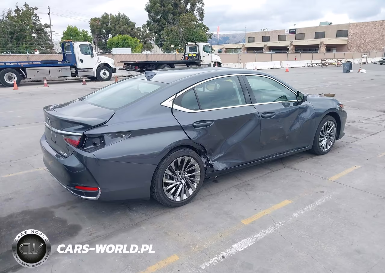 2025 Lexus Es 300H Luxury VIN:58AEA1C15SU069022 - 4