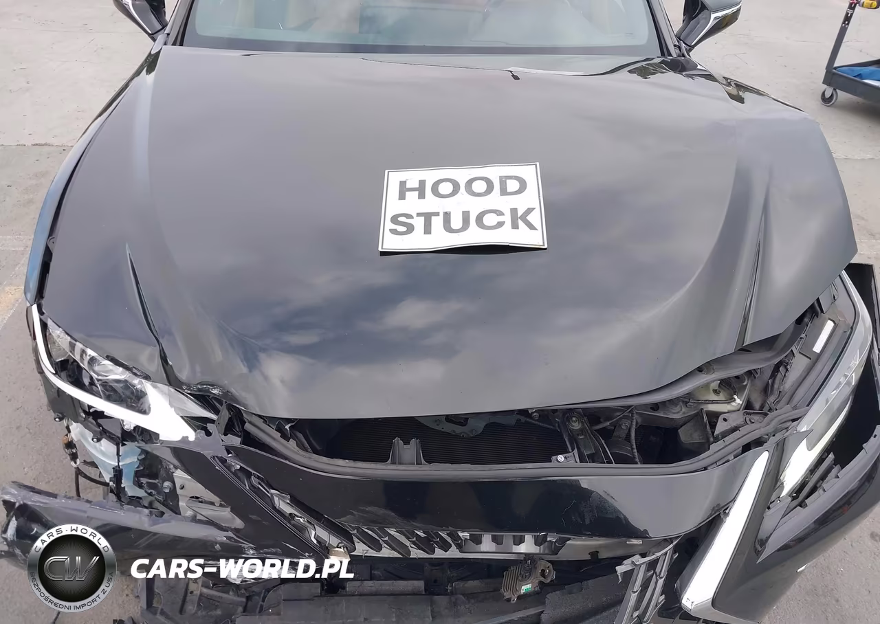 2023 Lexus Es 300H VIN:58ADA1C16PU036422 - 10