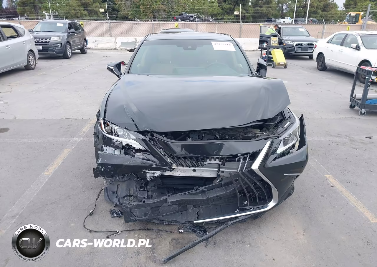 2023 Lexus Es 300H VIN:58ADA1C16PU036422 - 13
