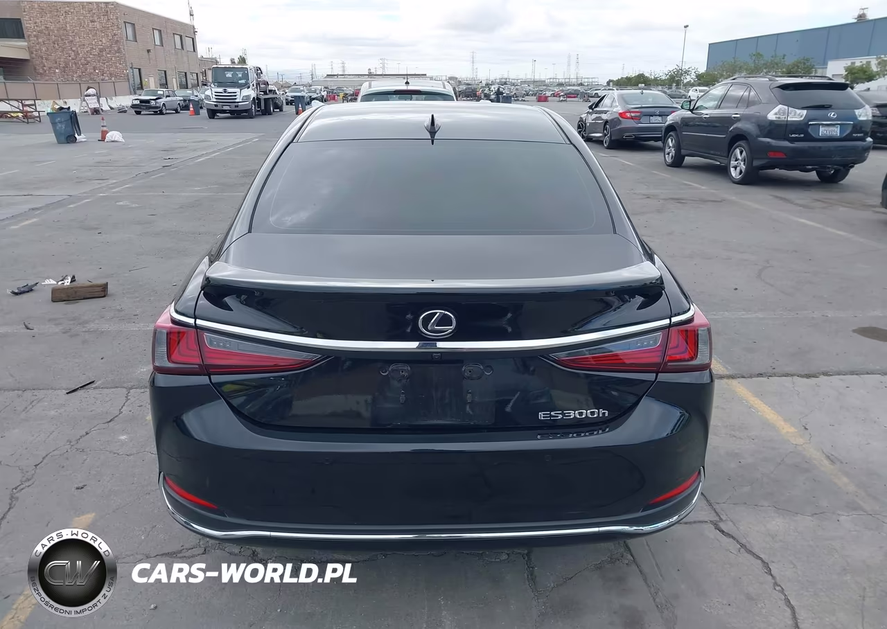 2023 Lexus Es 300H VIN:58ADA1C16PU036422 - 17