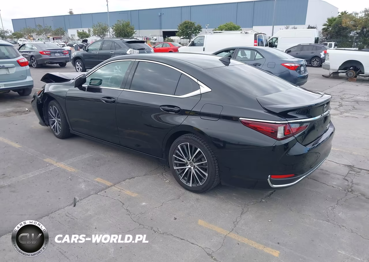2023 Lexus Es 300H VIN:58ADA1C16PU036422 - 3