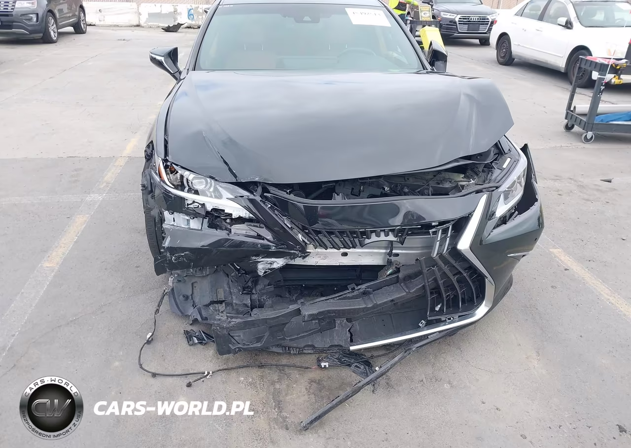 2023 Lexus Es 300H VIN:58ADA1C16PU036422 - 6