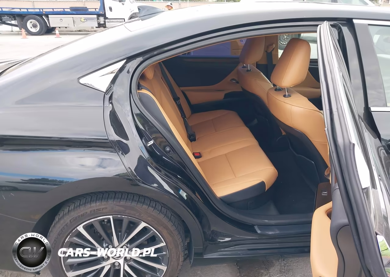 2023 Lexus Es 300H VIN:58ADA1C16PU036422 - 8