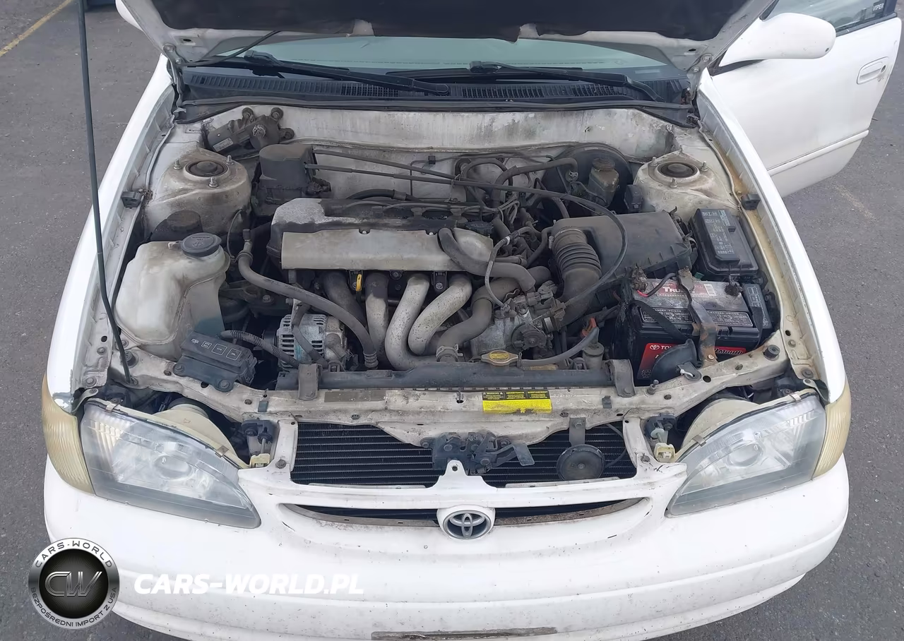 1998 Toyota Corolla Le VIN:1NXBR18E2WZ105009 - 10