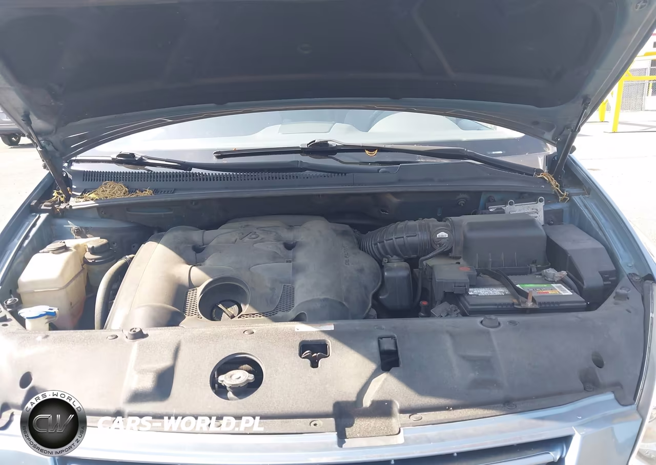 2008 Kia Sedona Lx VIN:KNDMB233086228053 - 10