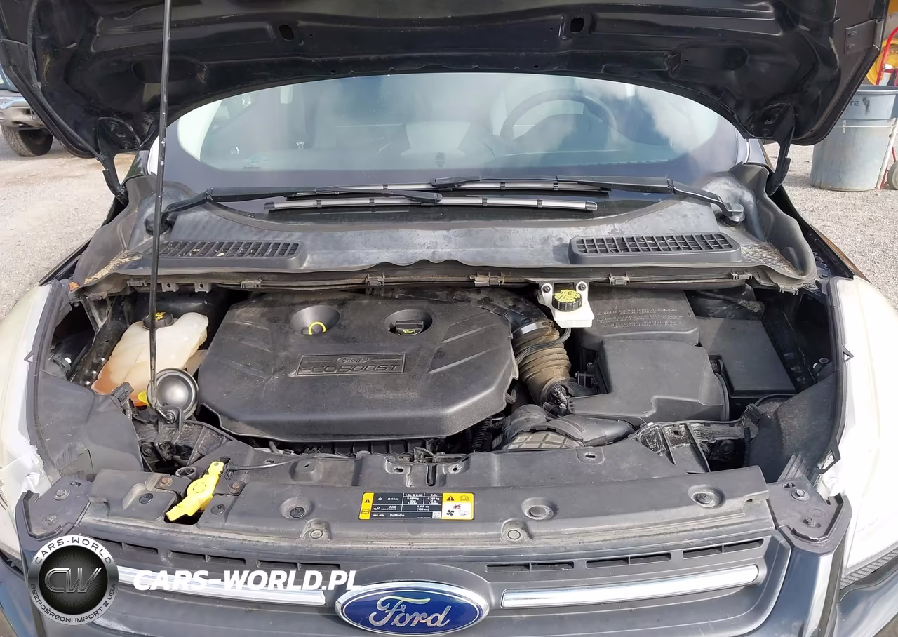 2014 Ford Escape Se VIN:1FMCU9G99EUA44035 - 10