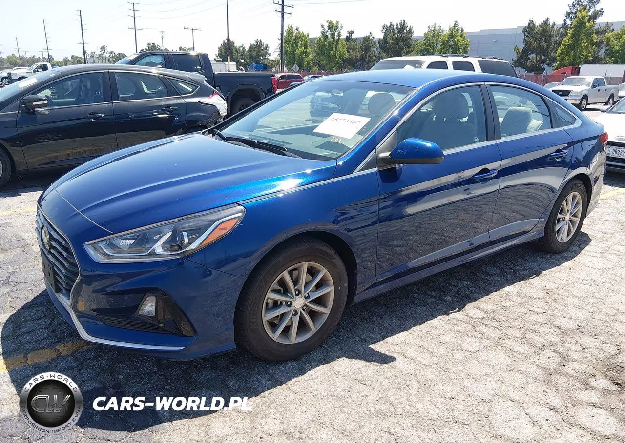 2018 Hyundai Sonata Eco VIN:5NPE24AA3JH711310 - 2