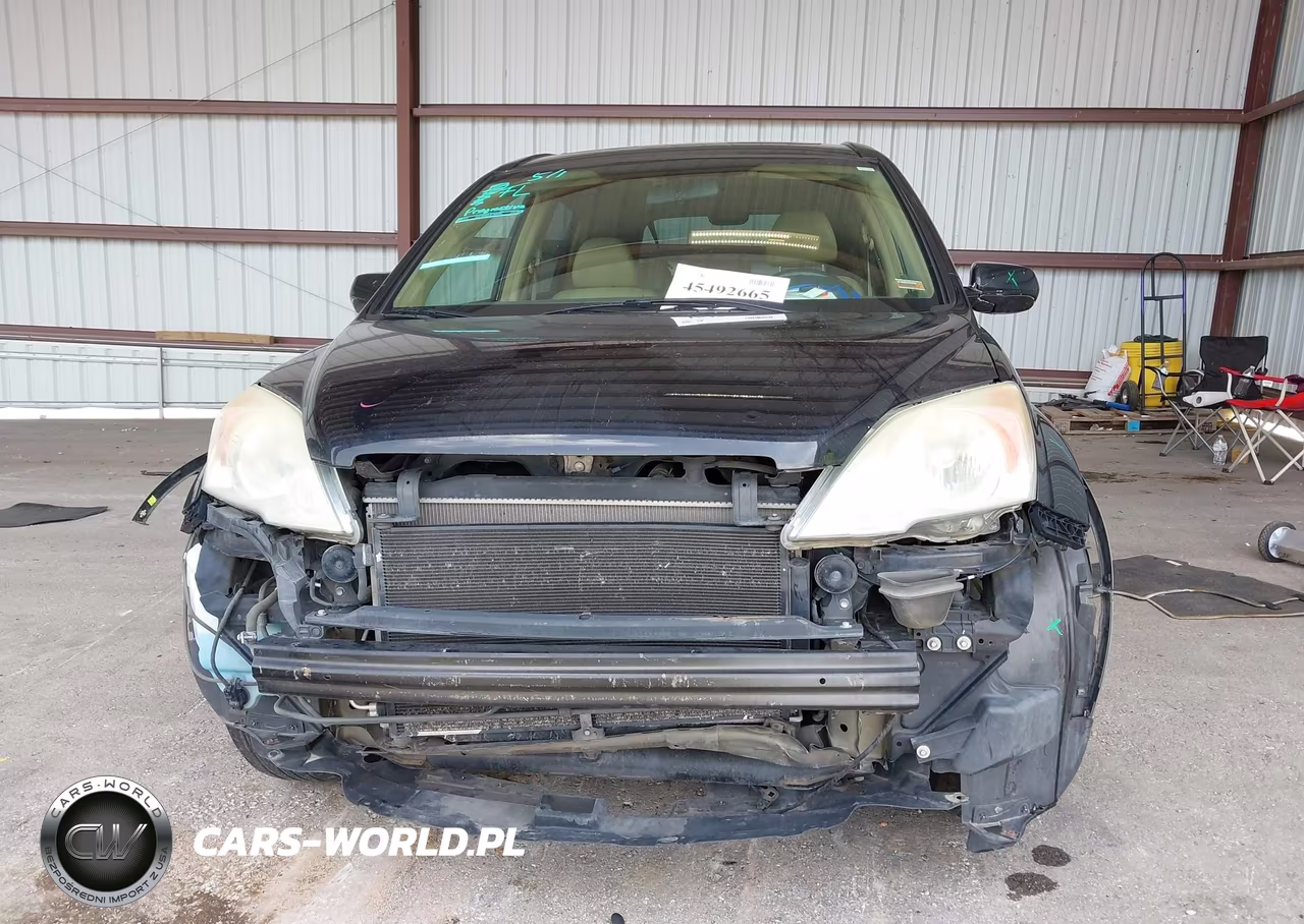 2009 Honda Cr-V Ex-L VIN:5J6RE48729L044184 - 12