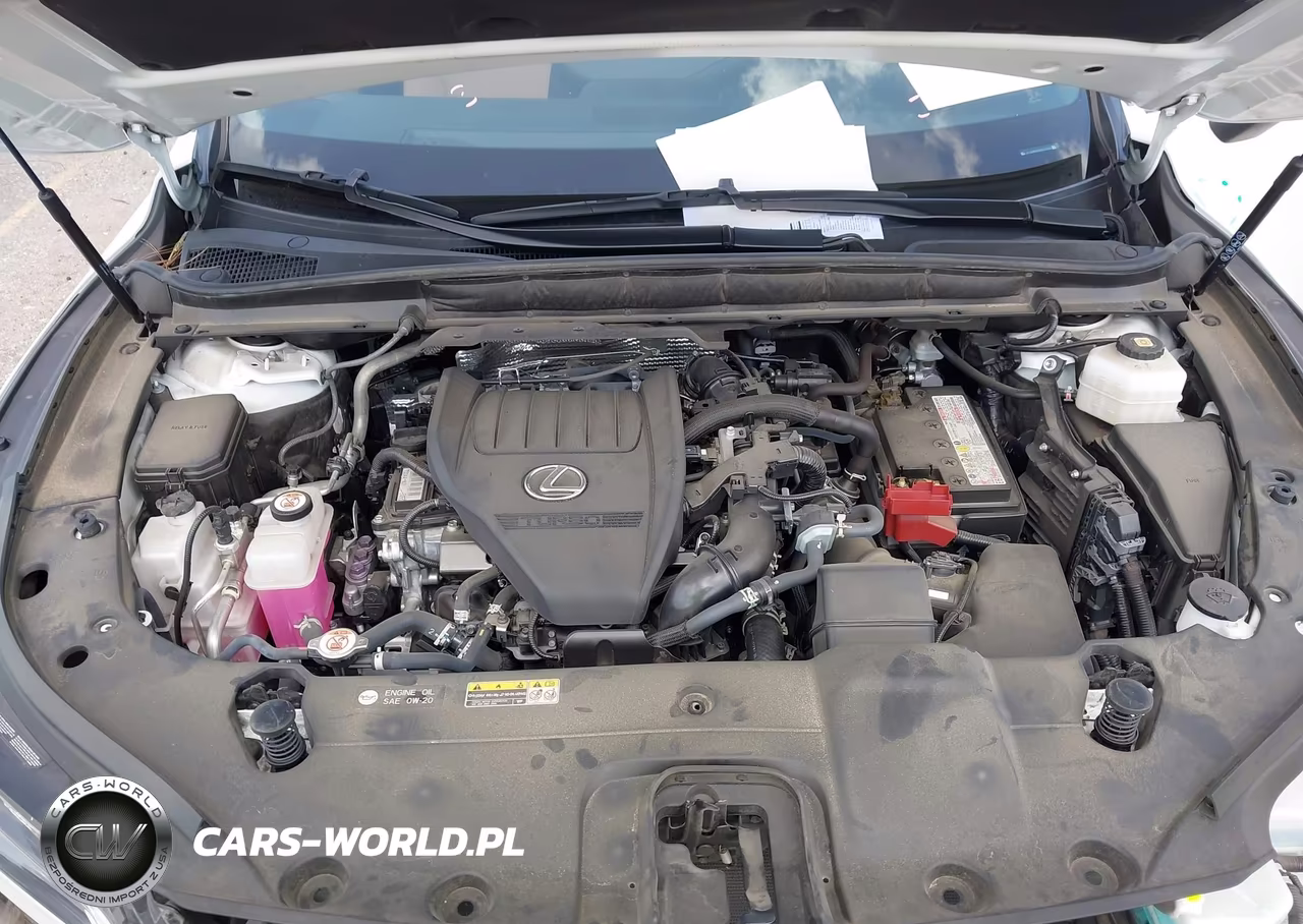 2024 Lexus Rx 350 Premium VIN:JTJCHMAA5R2012292 - 10