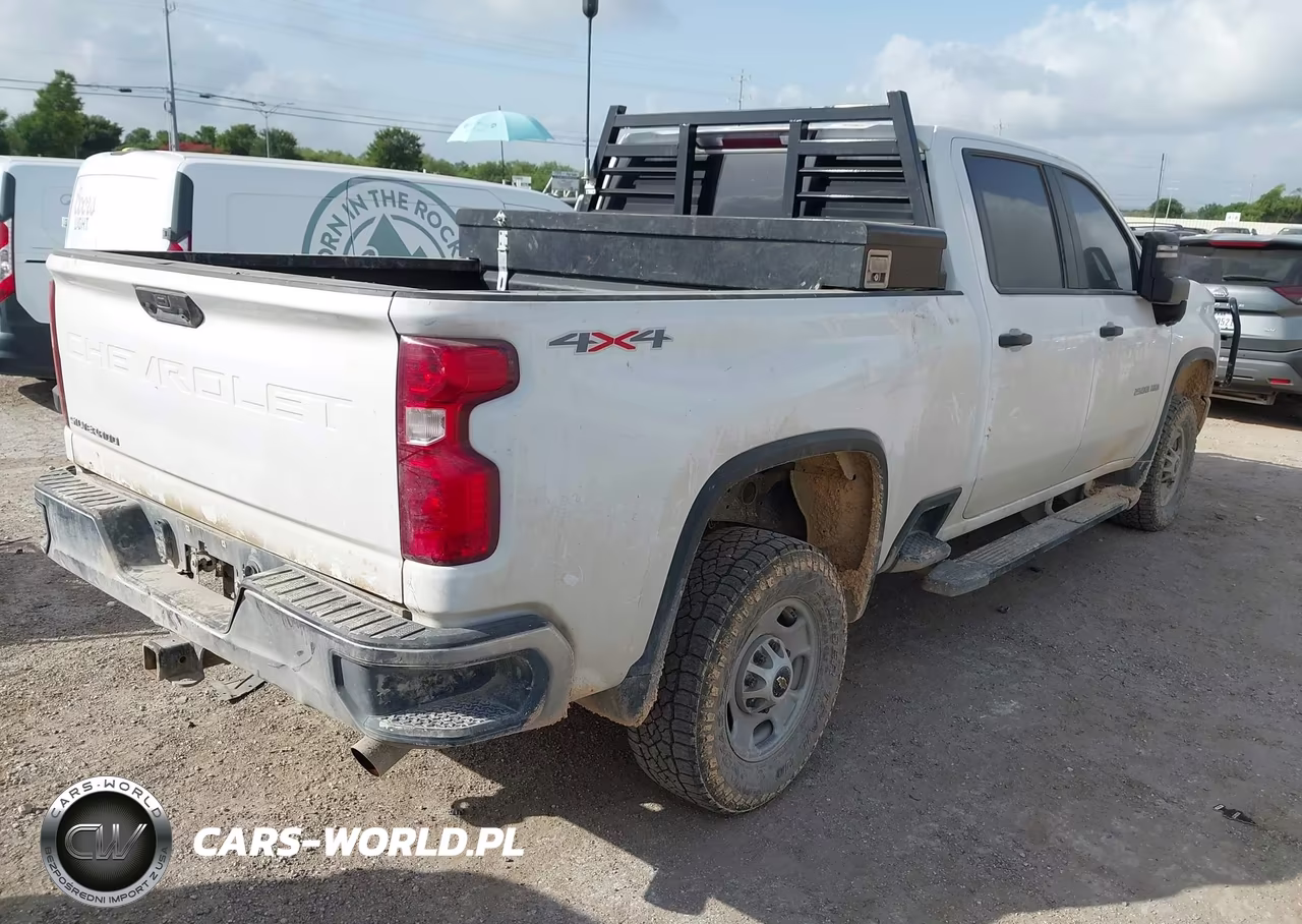 2023 Chevrolet Silverado 2500Hd 4Wd Standard Bed Wt VIN:1GC1YLE77PF146763 - 4