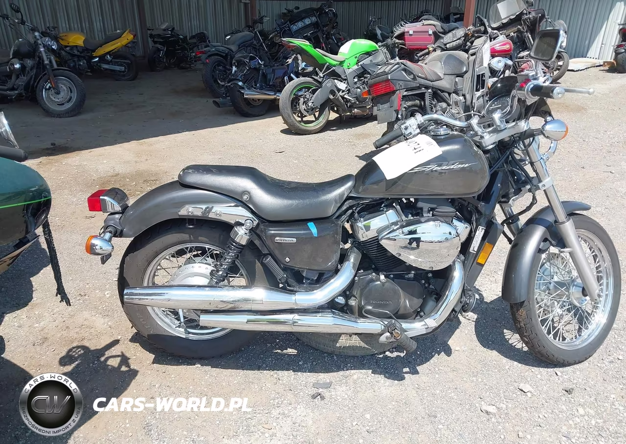 2010 Honda Vt750 S VIN:JH2RC5814AK000654 - 12