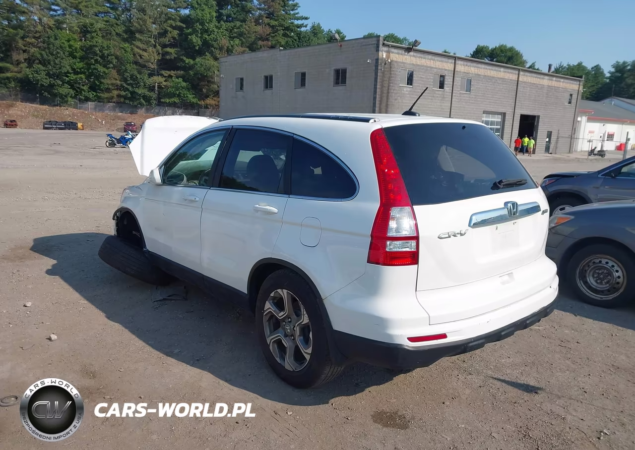 2010 Honda Cr-V Ex-L VIN:5J6RE4H72AL029902 - 3