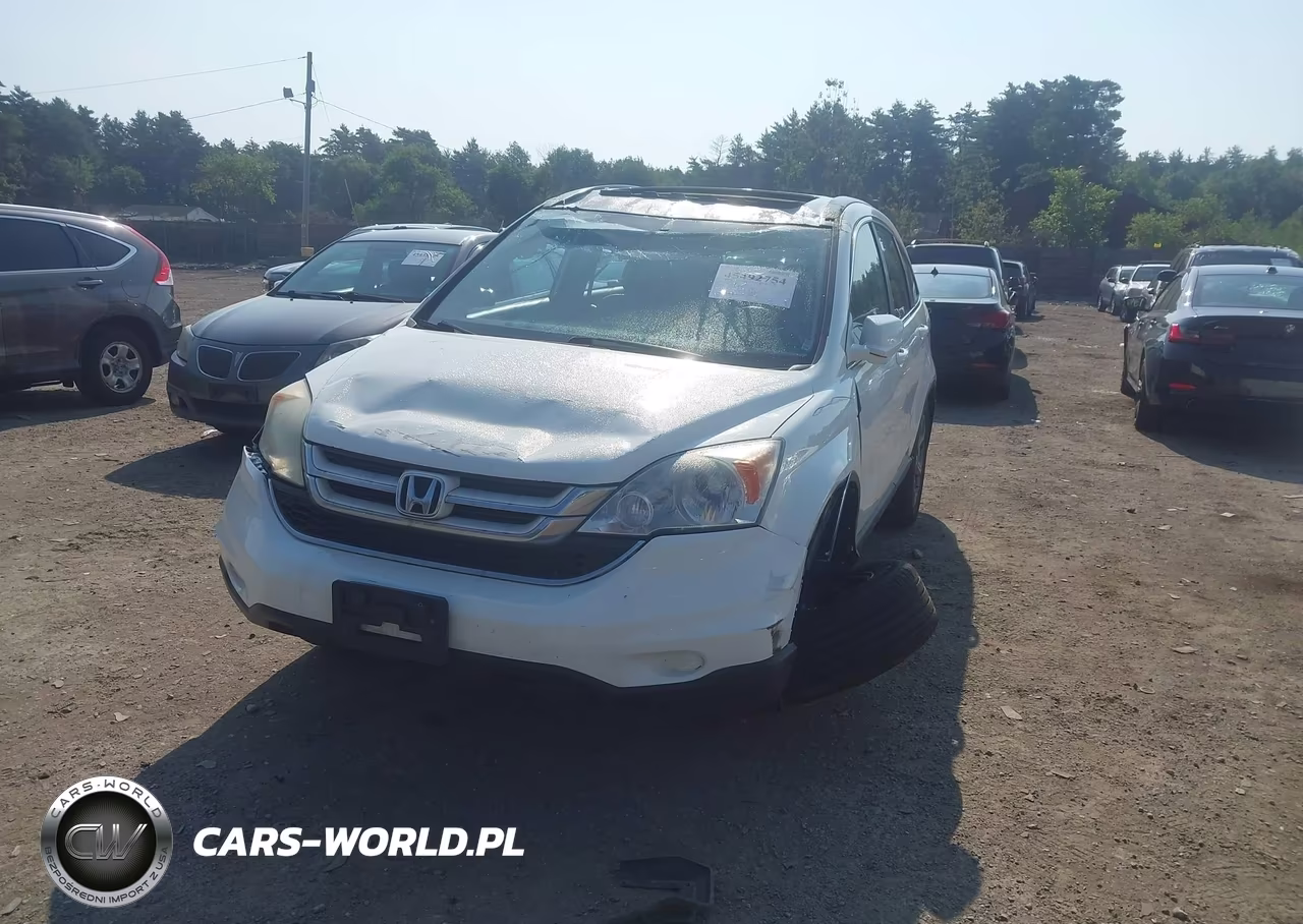 2010 Honda Cr-V Ex-L VIN:5J6RE4H72AL029902 - 6