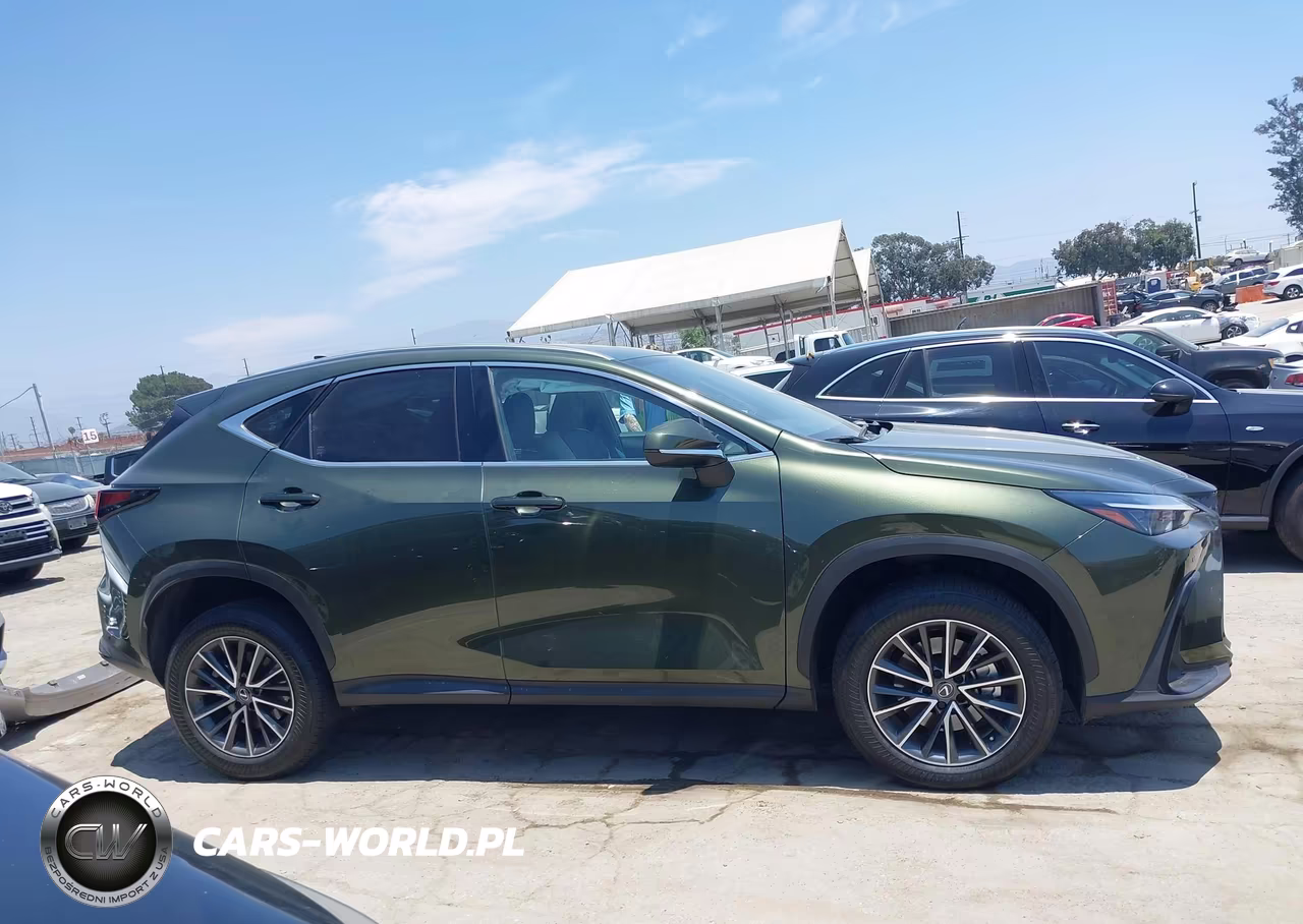 2022 Lexus Nx 350H Premium VIN:JTJGKCEZ2N2003119 - 13
