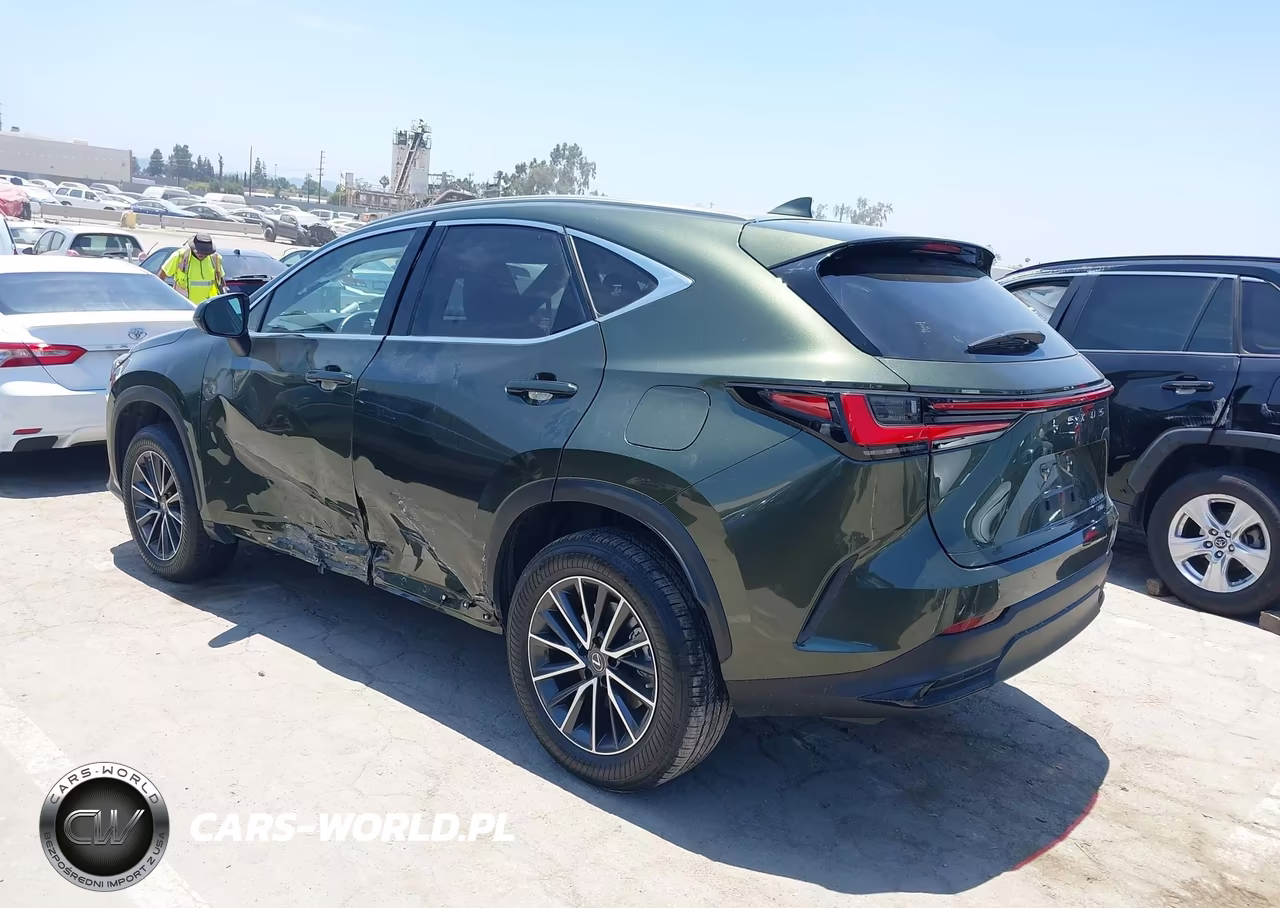 2022 Lexus Nx 350H Premium VIN:JTJGKCEZ2N2003119 - 3