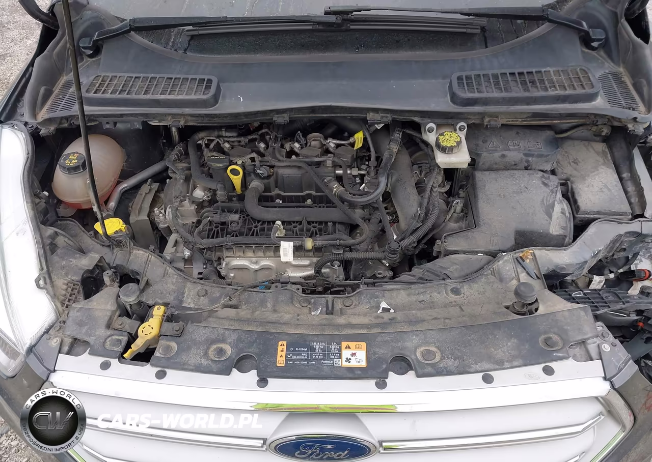 2019 Ford Escape Se VIN:1FMCU9GDXKUA54329 - 10