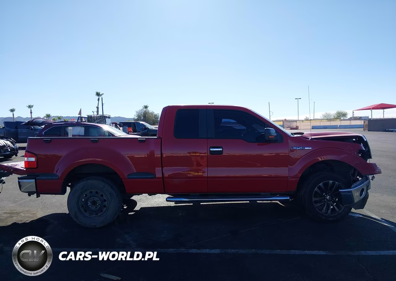2009 Ford F-150 Stx-Xlt VIN:1FTRX02849KB06698 - 13