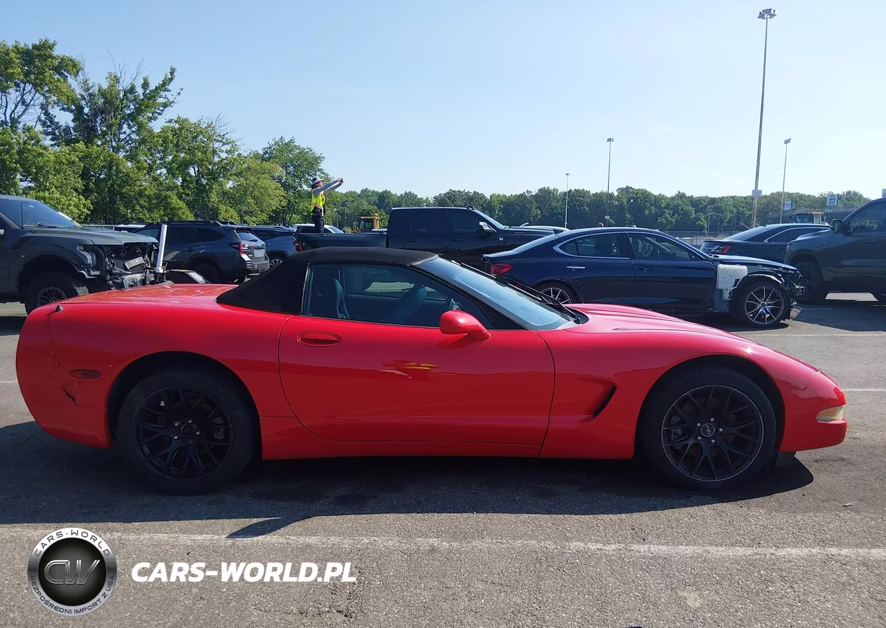 2002 Chevrolet Corvette VIN:1G1YY32G225129931 - 13