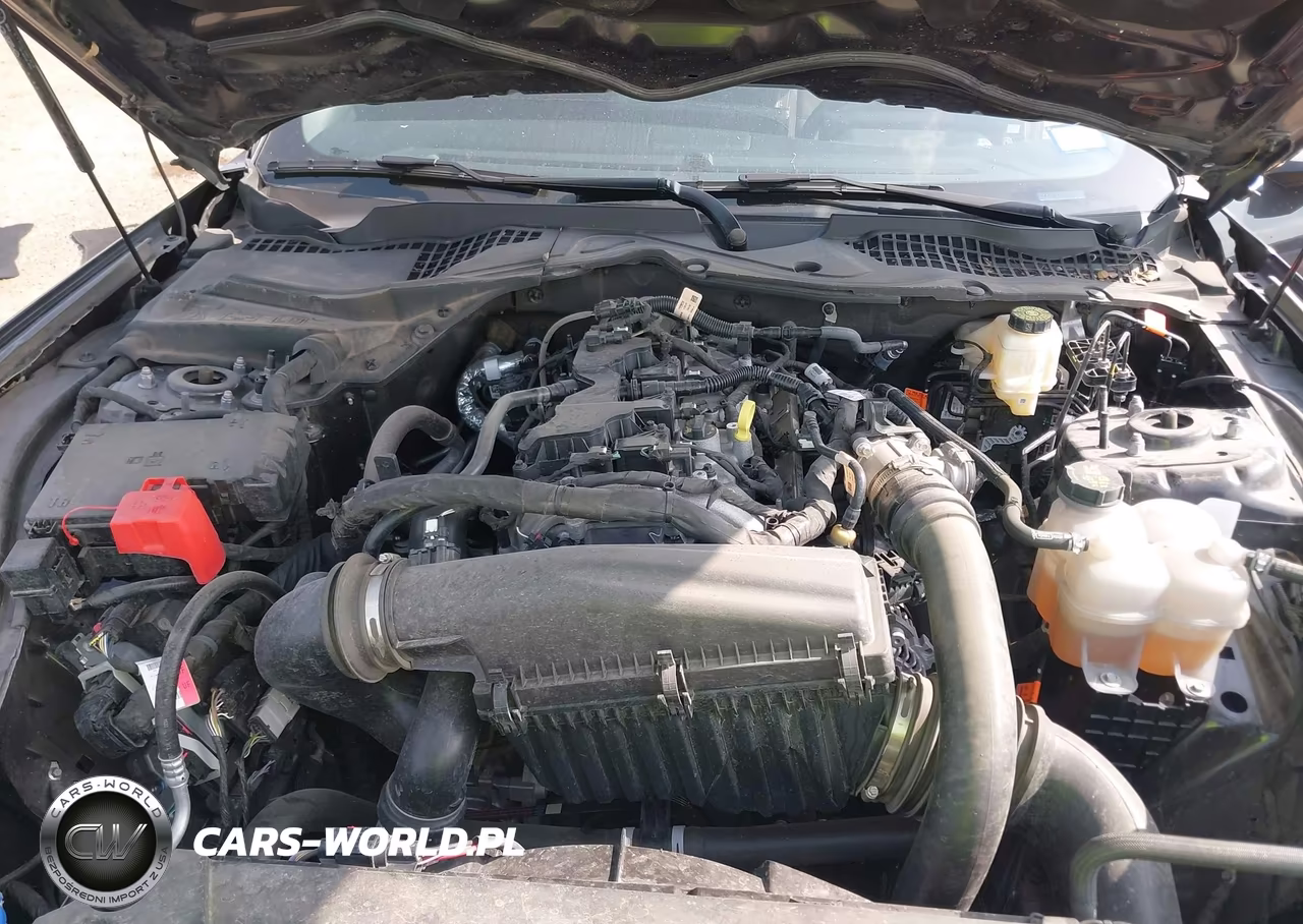 2024 Ford Mustang Ecoboost Fastback VIN:1FA6P8TH0R5140027 - 10