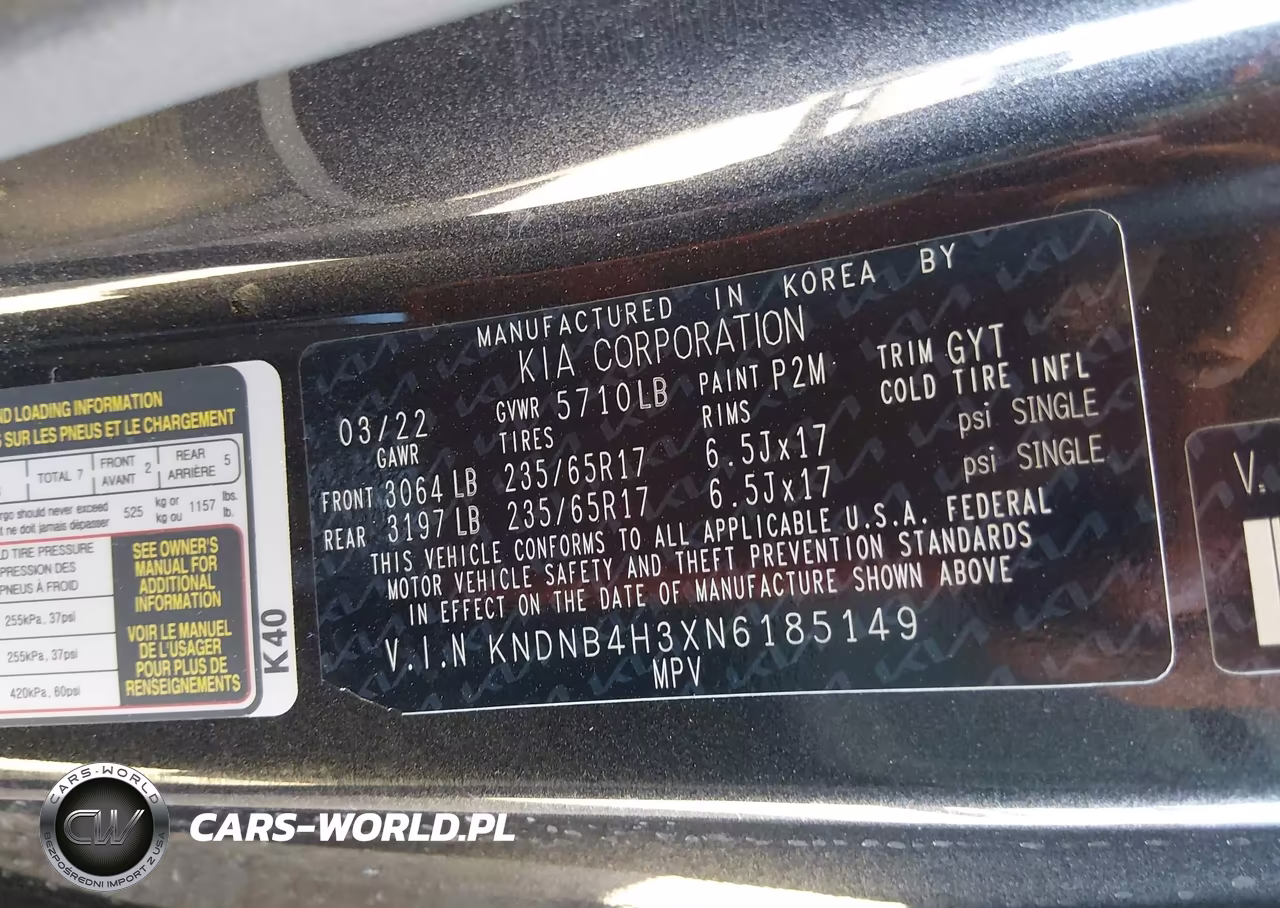 2022 Kia Carnival Mpv Lx VIN:KNDNB4H3XN6185149 - 9