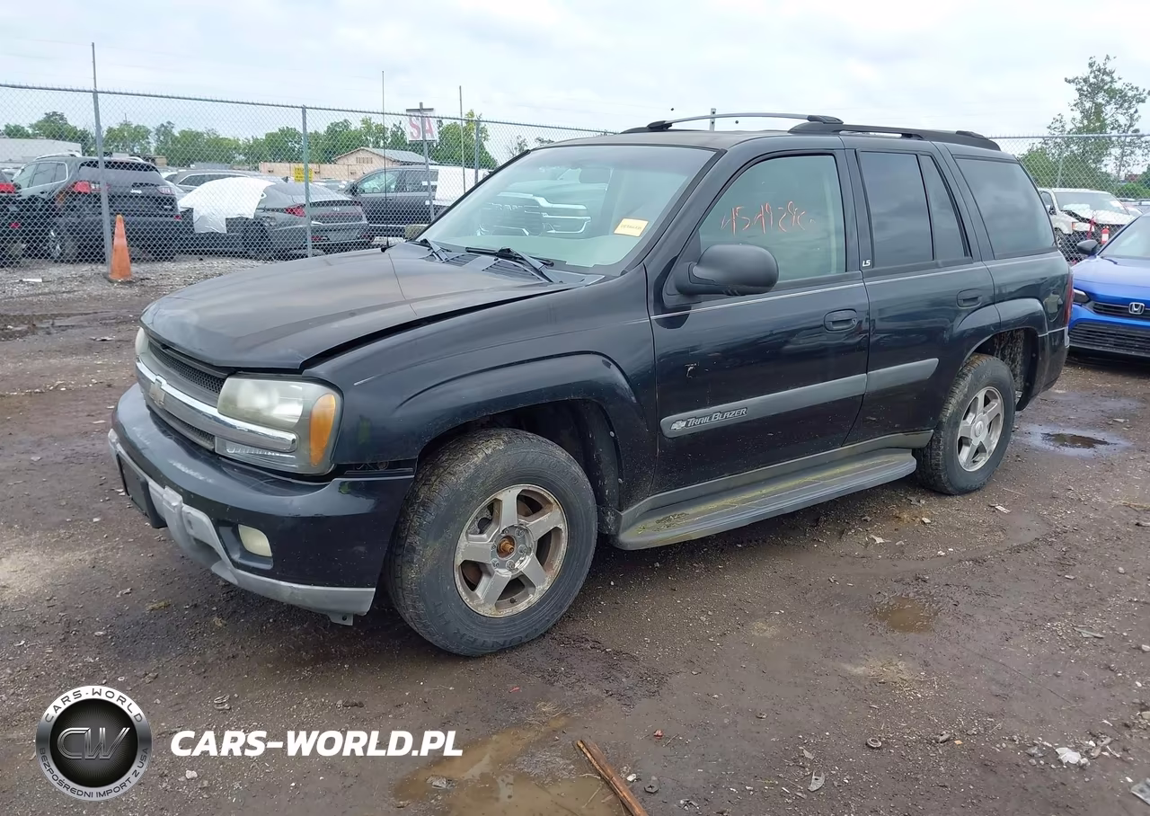 2004 Chevrolet Trailblazer Ls VIN:1GNDT13S042247564 - 2
