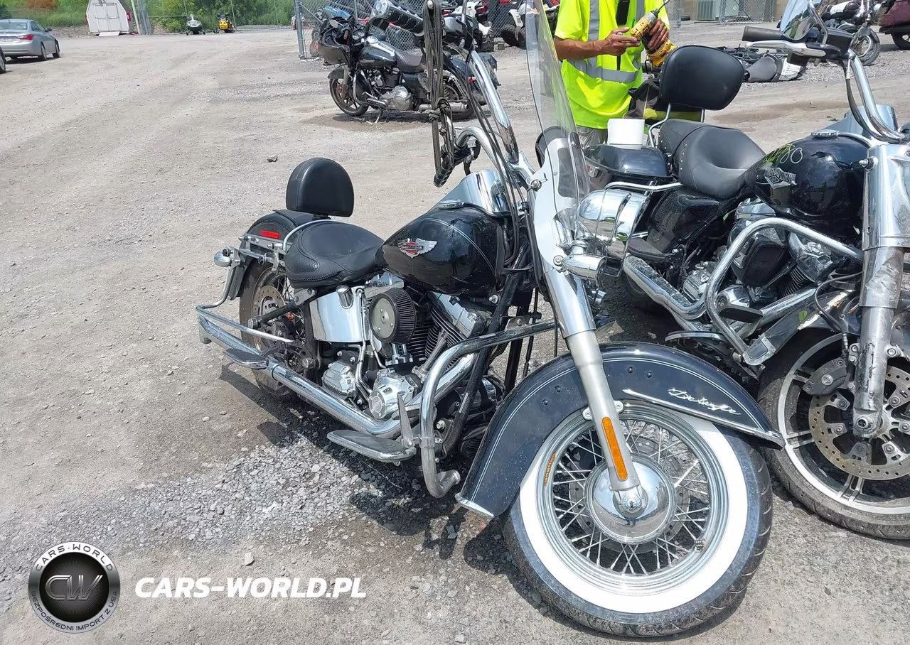 2010 Harley-Davidson Flstn