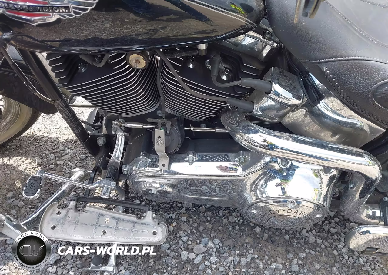 2010 Harley-Davidson Flstn VIN:1HD1JD515AB043909 - 9