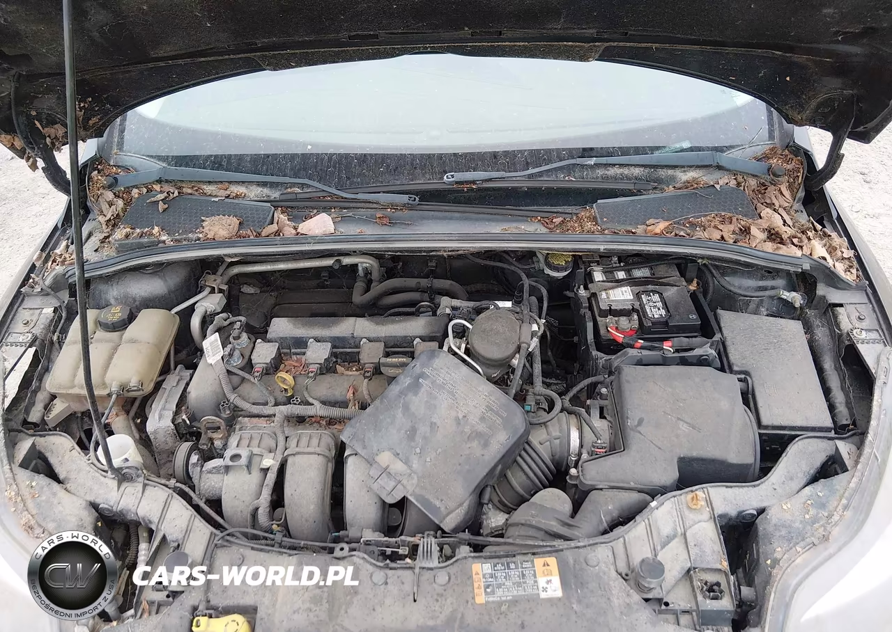 2014 Ford Focus Titanium VIN:1FADP3J29EL342136 - 10