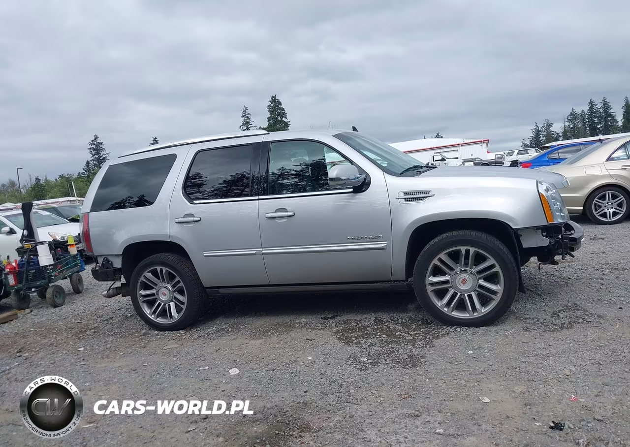 2013 Cadillac Escalade Premium VIN:1GYS4CEF8DR378705 - 14